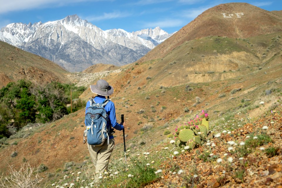 Alabama Hills National Scenic Area in the Bishop Field Office