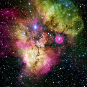 NGC 2467 and Surroundings*
