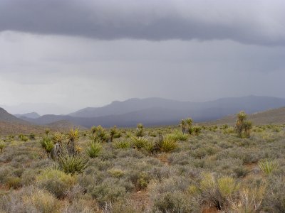 Horsethief Camp