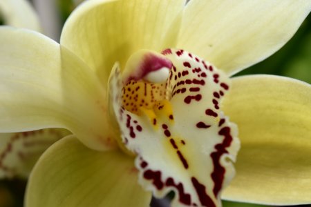 Home Wildlife 07