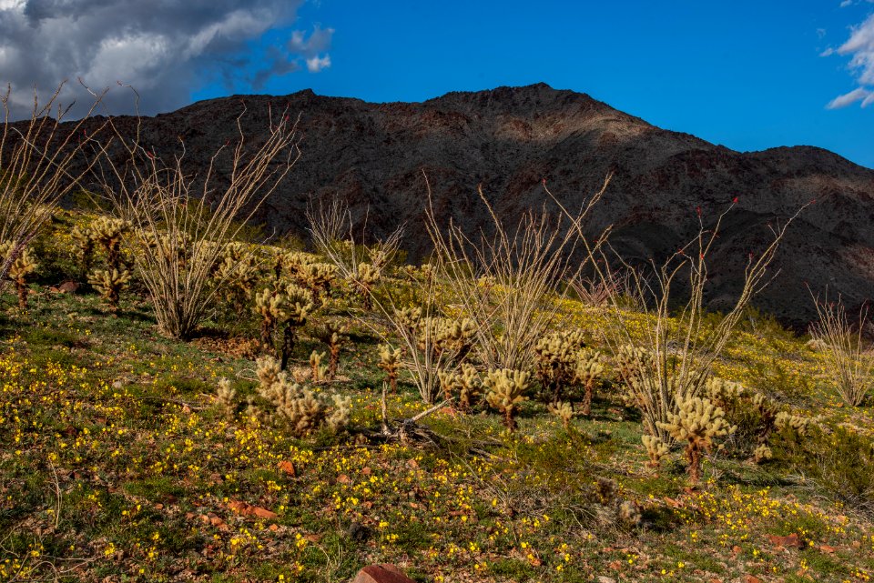 Corn Springs Campground