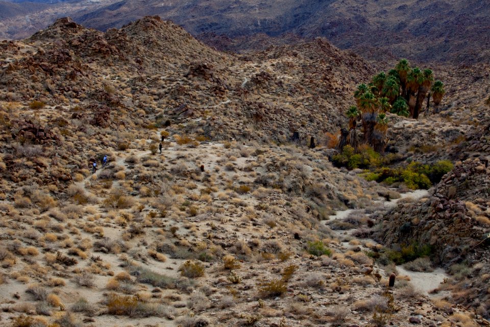 Santa Rosa San Jacinto Mountains National Monument photo