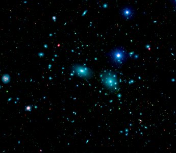 Dwarf Galaxies in the Coma Cluster photo