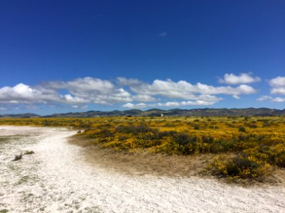 Carrizo Plain National Monument in Bakersfield Field Office