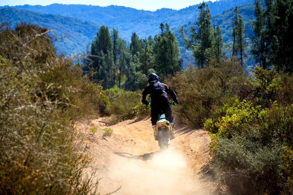 Cow Mountain Recreation Area