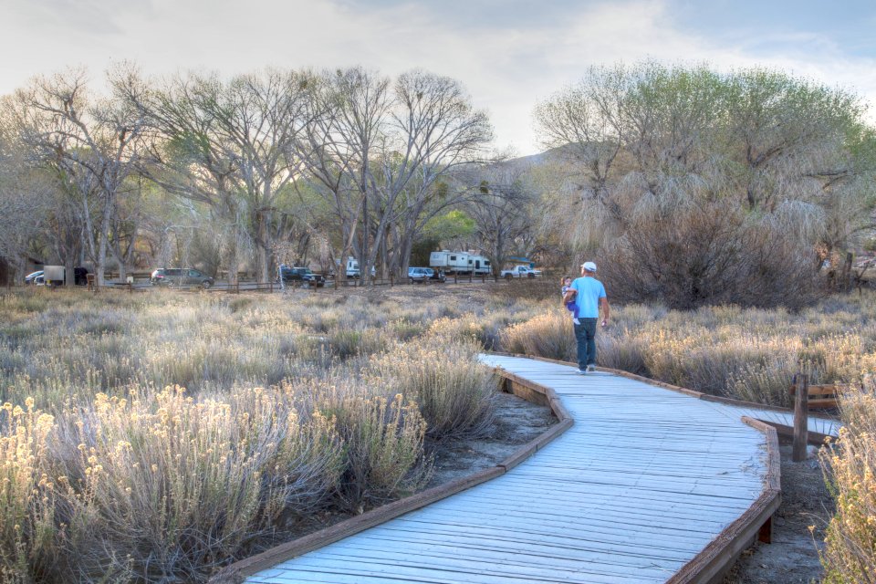 Big Morongo Canyon Preserve