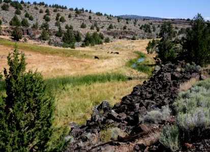 Modoc National Forest