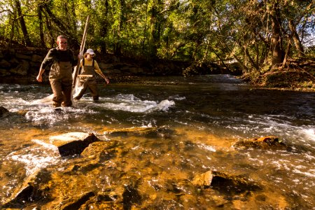 Chesapeake logperch surveying
