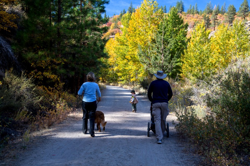 Bizz Johnson Trail