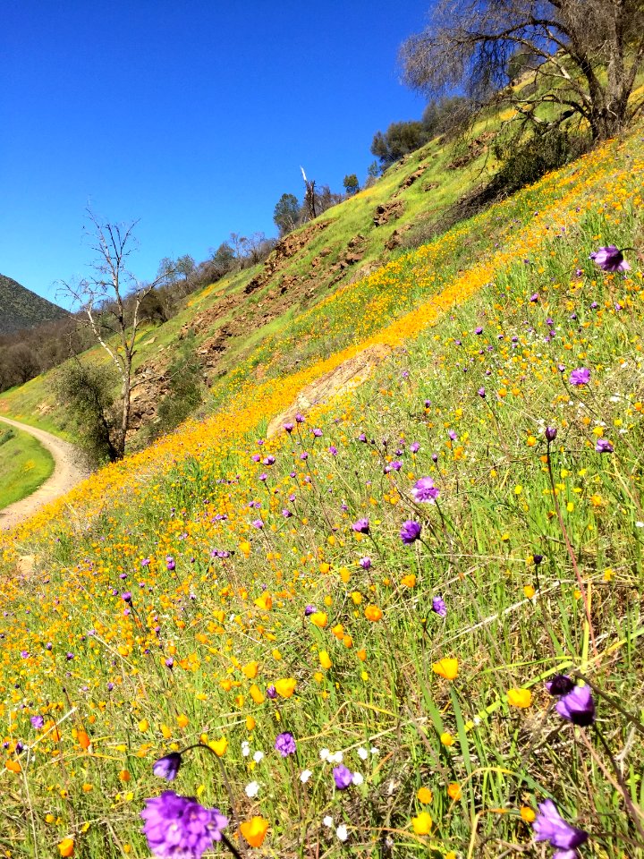 Merced River Recreation Area