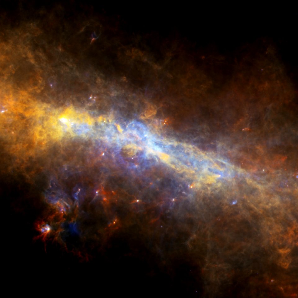 The Case of the Warped Galactic Ring