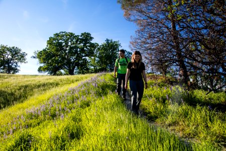 Berryessa Snow Mountain National Monument photo