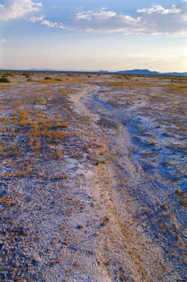 Carson Slough