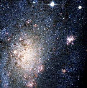 A Bright Supernova in the Nearby Galaxy NGC 2403 photo