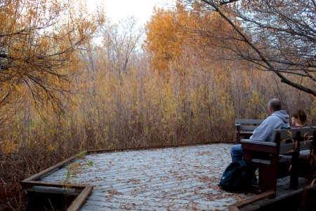 Sand to Snow National Monument photo