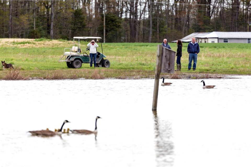 Matt and Marilyn Spong, Megan Lang (USFWS), and Greg McCarty (USDA) look out over the restored wetland