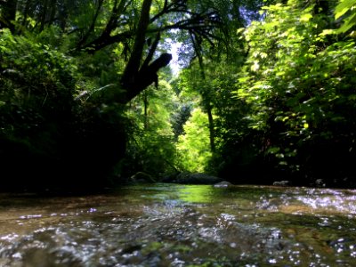 King Range Mill Creek