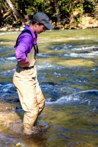 Chesapeake logperch surveying