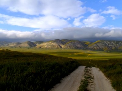 Ranch Road Carrizo in Bakersfield Field Office
