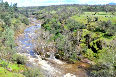Paynes Creek
