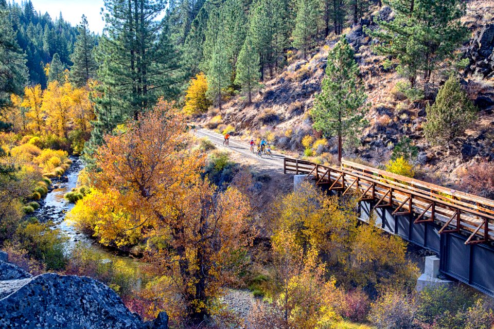 Bizz Johnson Trail