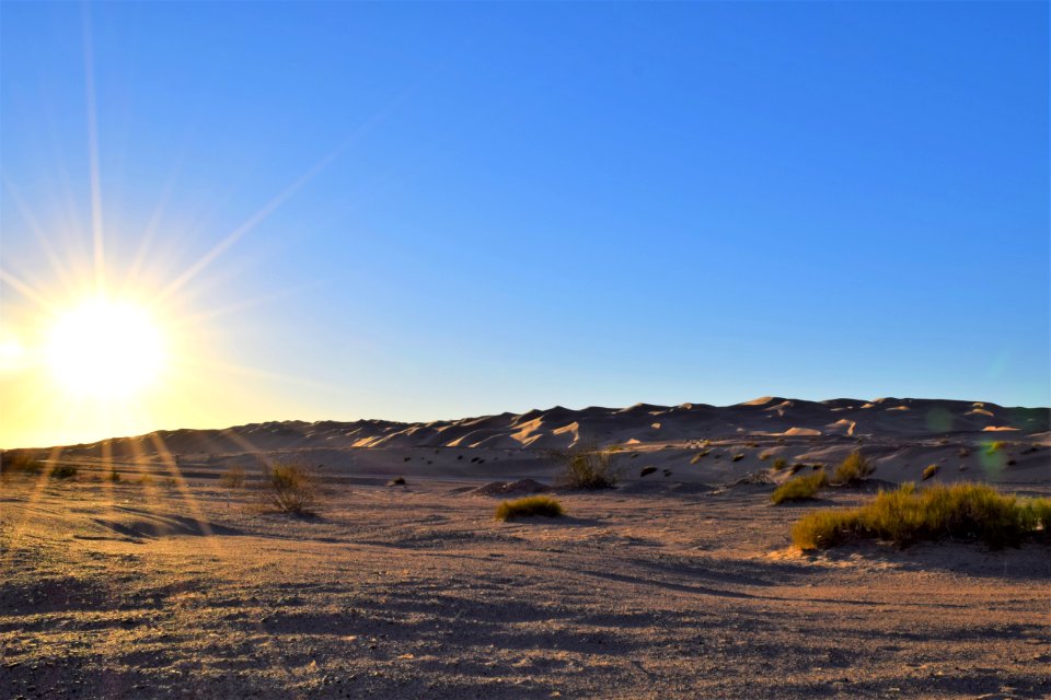 Imperial Sand Dunes