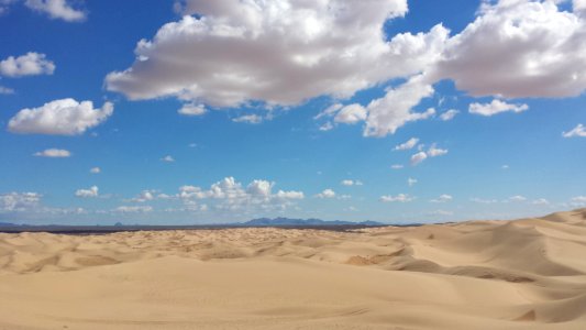 Imperial Sand Dunes Recreation Area