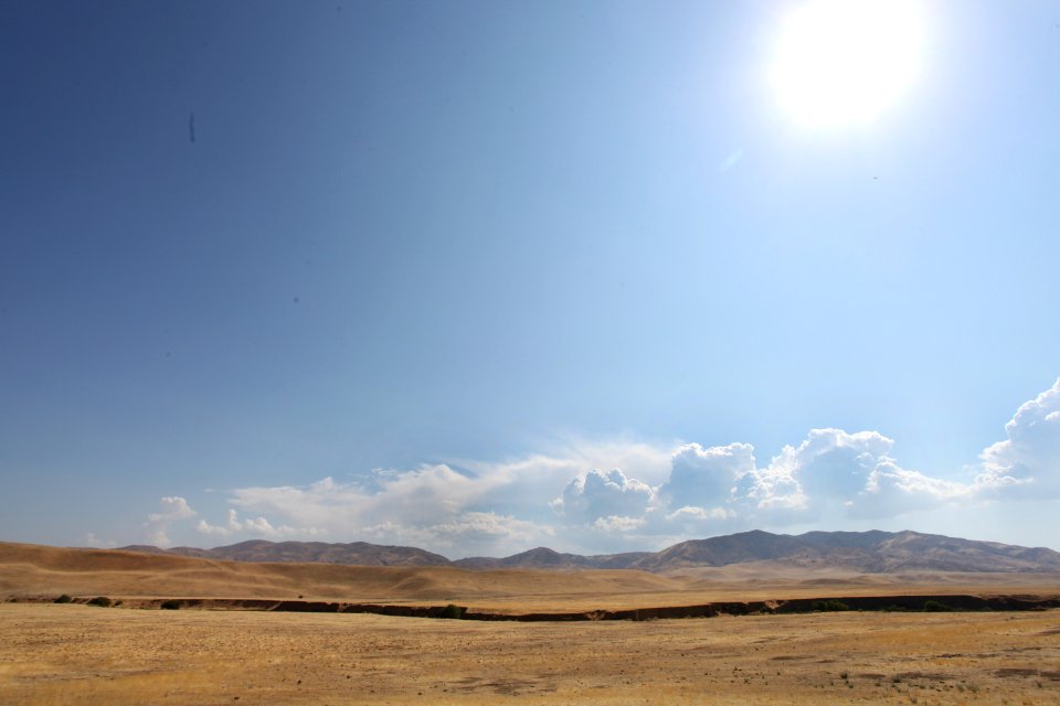 San Joaquin Desert