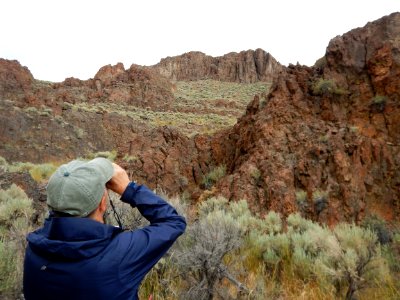 Little High Rock Canyon