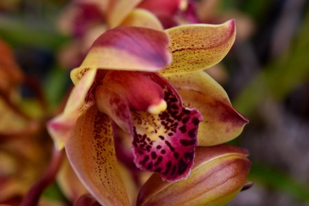 Home Wildlife 05