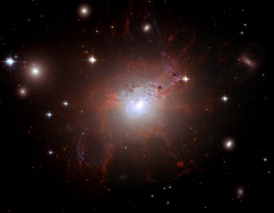 Magnetic monster NGC 1275