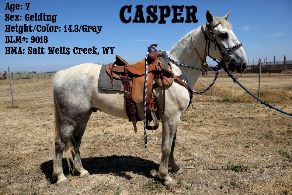 Casper R3C Adoption