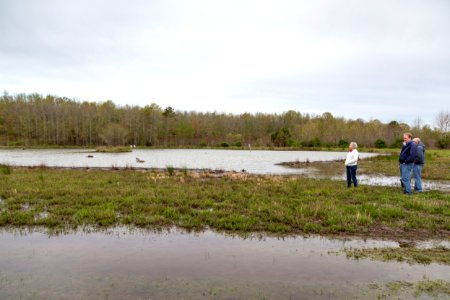 Matt and Marilyn Spong, Megan Lang (USFWS), and Greg McCarty (USDA) look out over the restored wetland