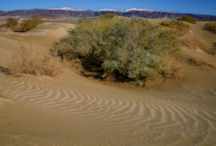 Olancha Dunes