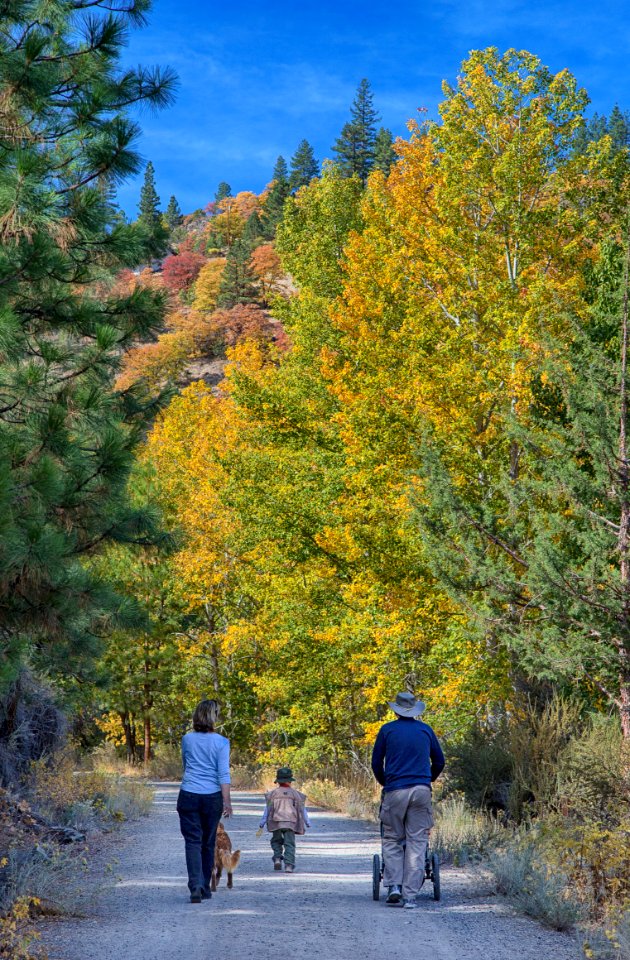 Bizz Johnson Trail