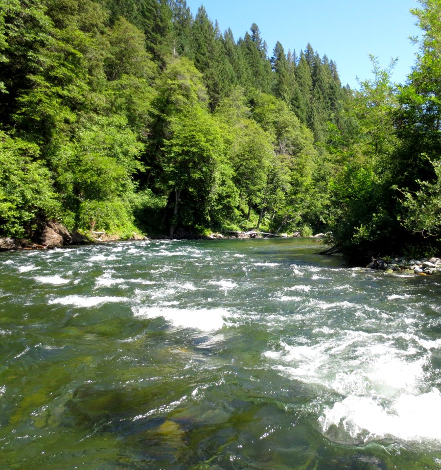 Wild and Scenic Trinity River