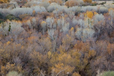 Sand to Snow National Monument photo