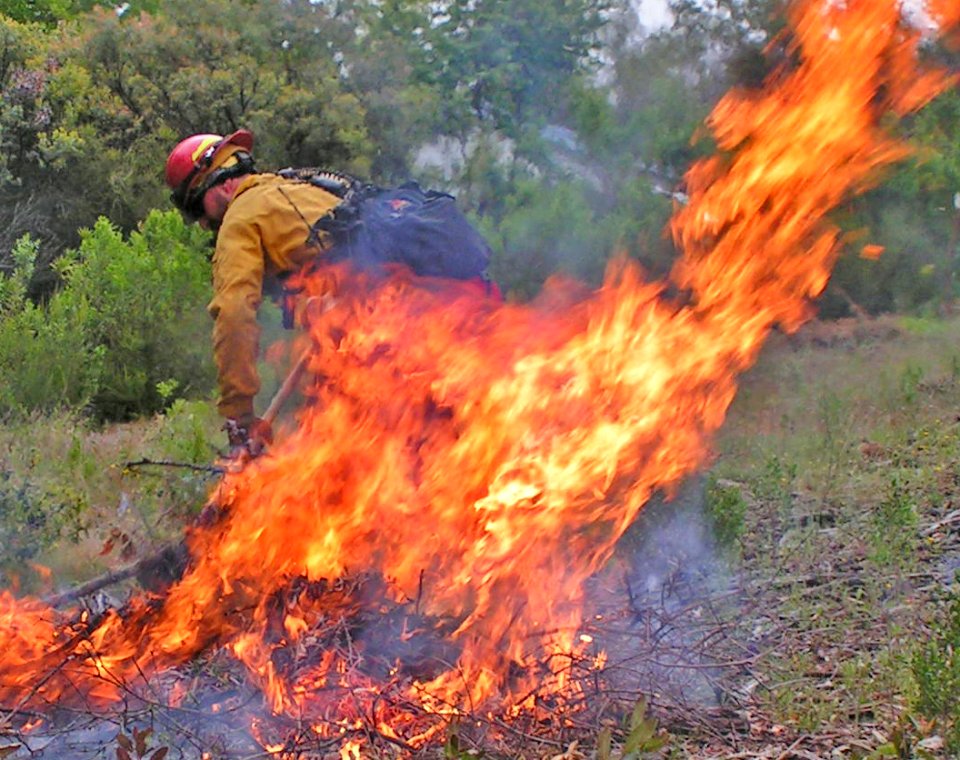Pile burn