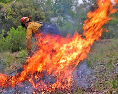 Pile burn