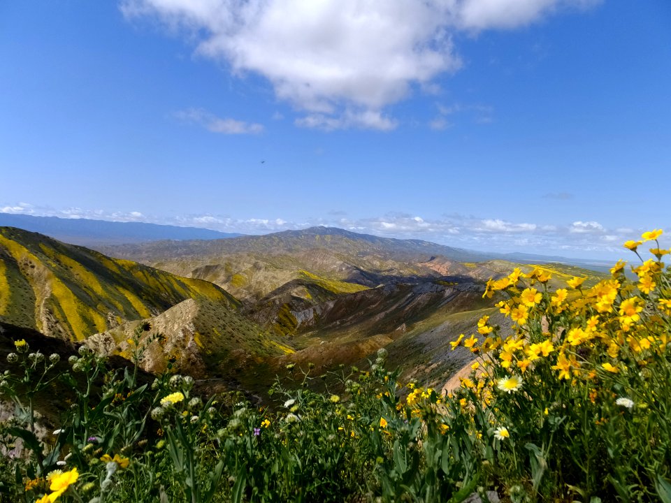 Caliente Mountains in Carrizo Plain in Bakersfield Field Office