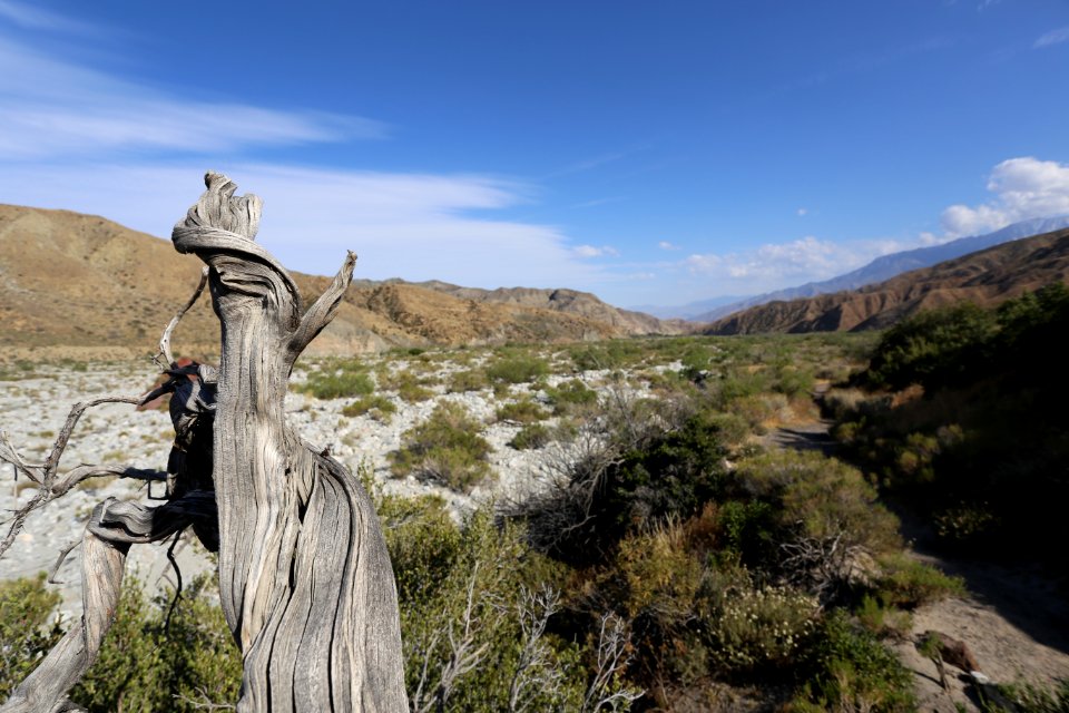 Celebrating New Desert Monuments