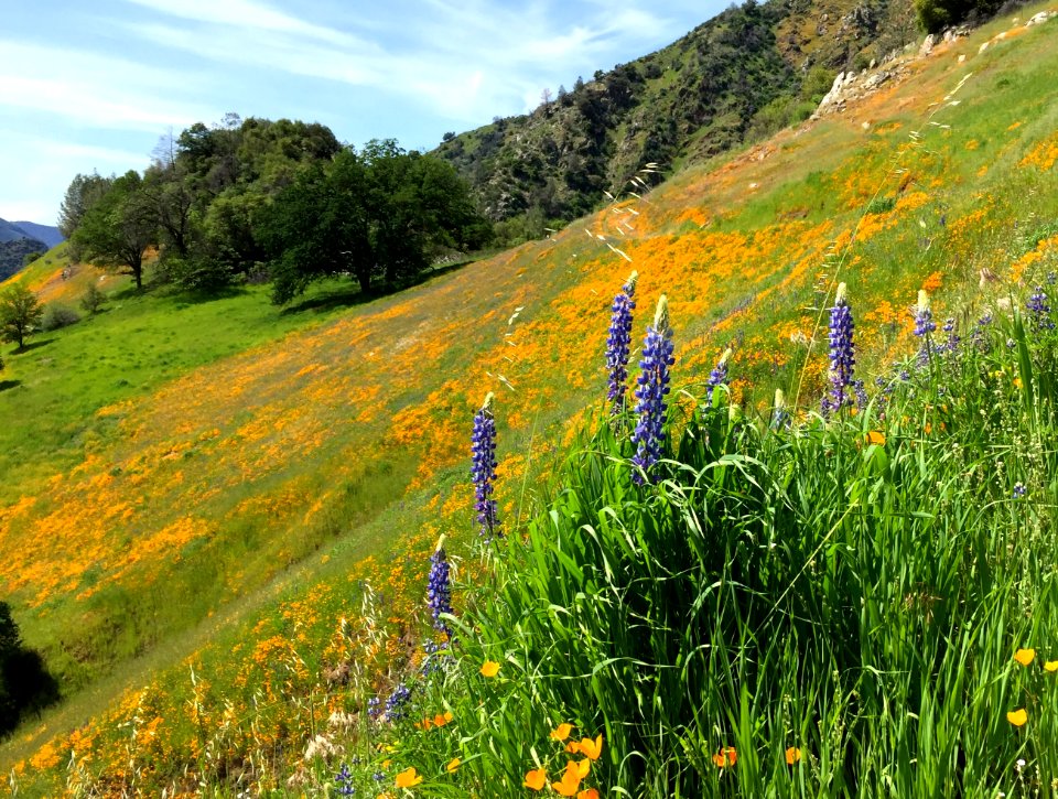 Merced River Recreation Area