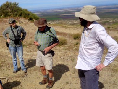 March 2017 Central Coast Field Office Wildflower Tour of Monvero Dunes located in the San Joaquin Desert (Valley)