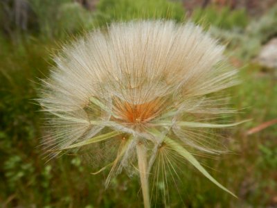 Nature in the BLM Applegate Field Office