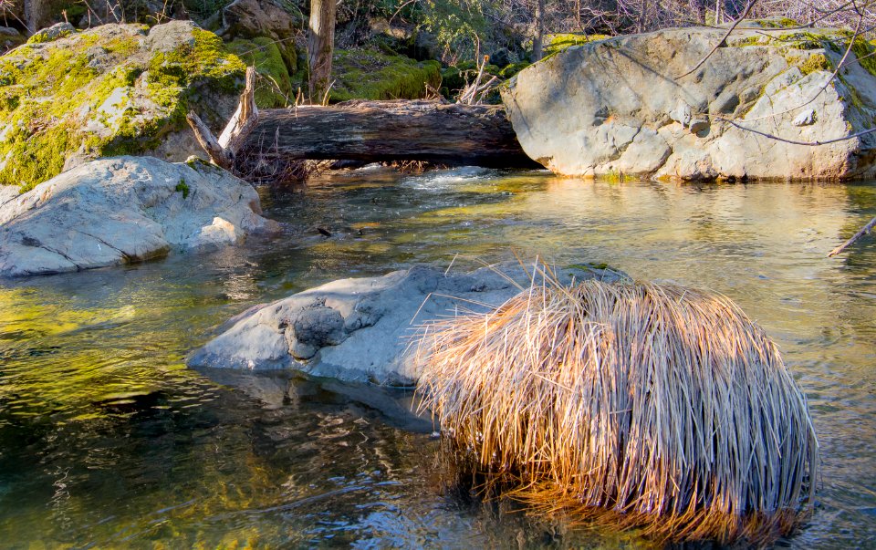 Bartlett Creek in Berryessa Snow Mountain National Monument