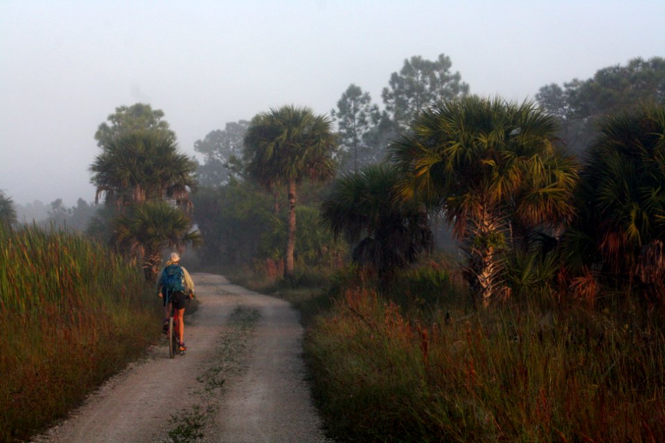 Biking Bear Island