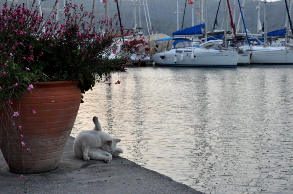 Fethiye