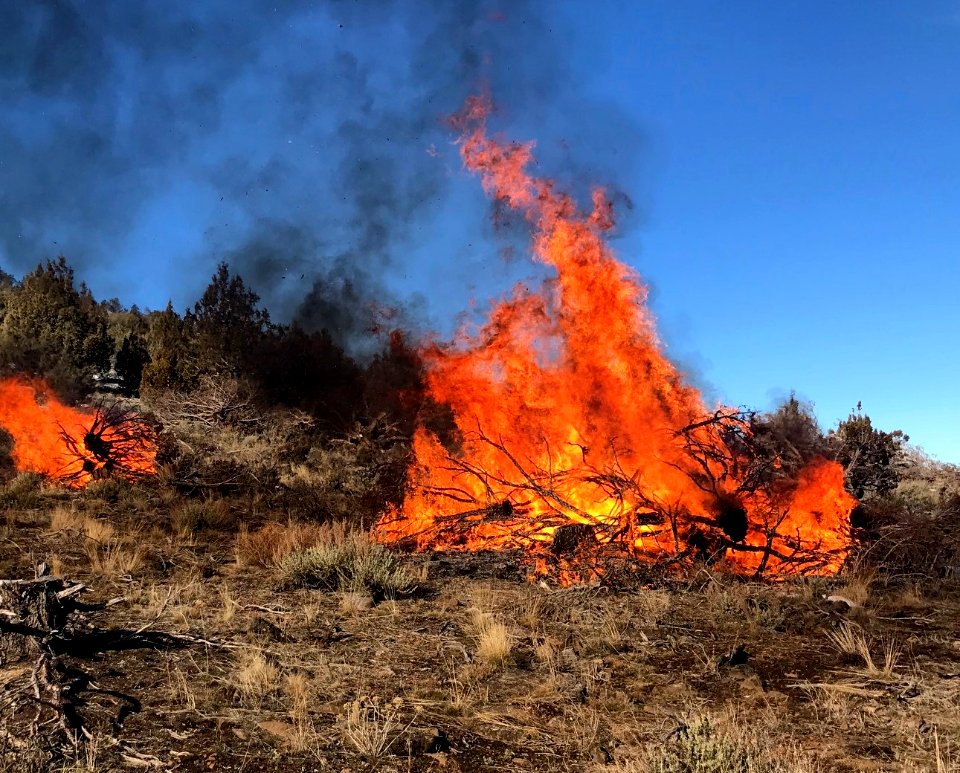 Pile Burn in Applegate FO