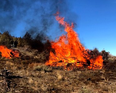 Pile Burn in Applegate FO
