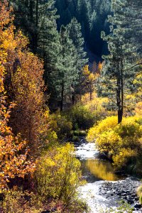 Bizz Johnson Trail